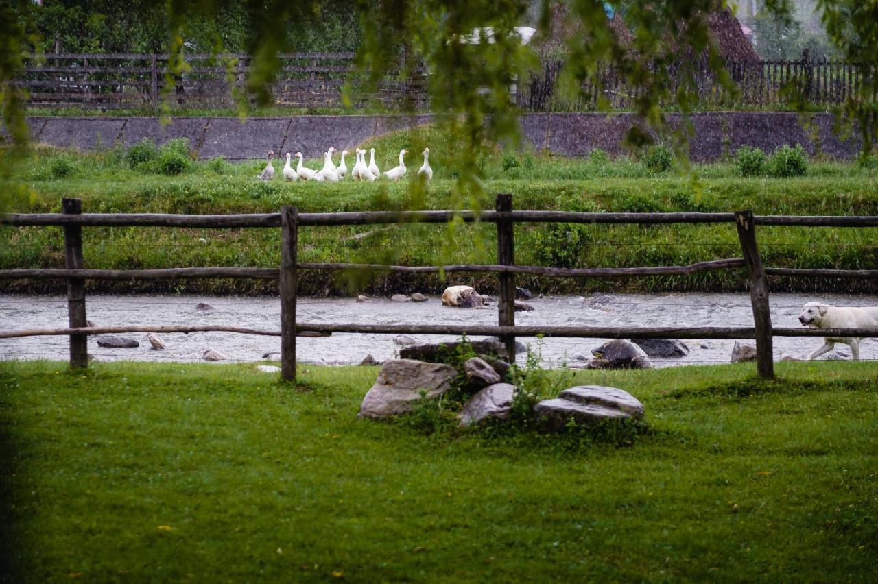 Pensiunea Trei Ponei Corbeni Eksteriør bilde